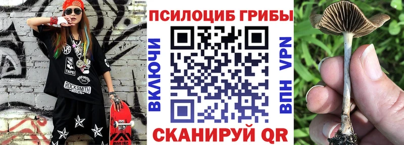 продажа наркотиков Оленегорск Псилоцибиновые грибы прущие грибы